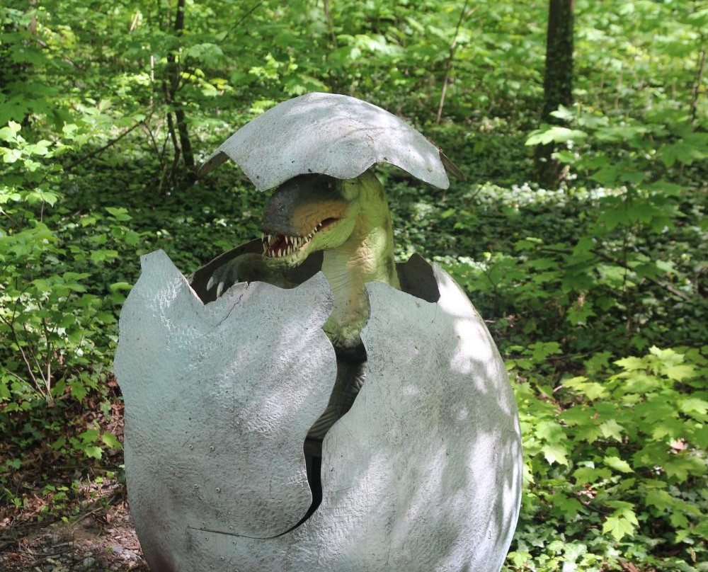 Dino Park景点图片