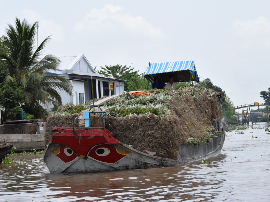 Indochina Treks - Luxury Private Mekong Day Cruise-芹苴必去景点