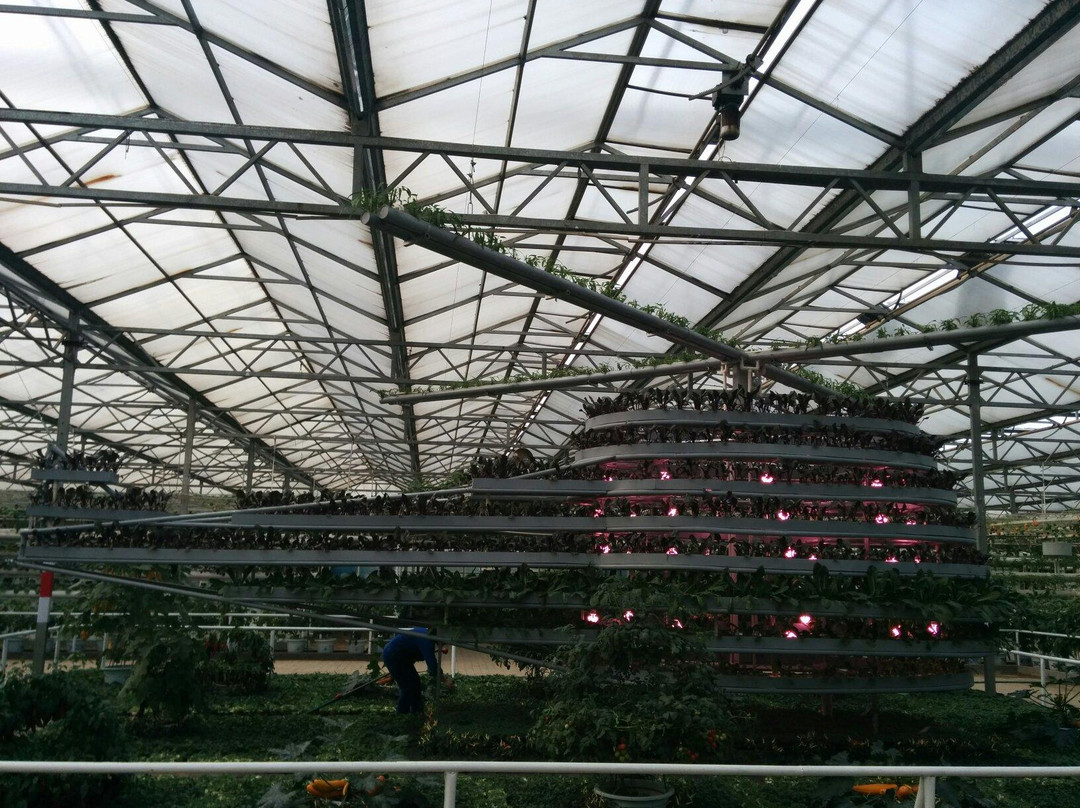 寿光蔬菜示范园-寿光市必去景点