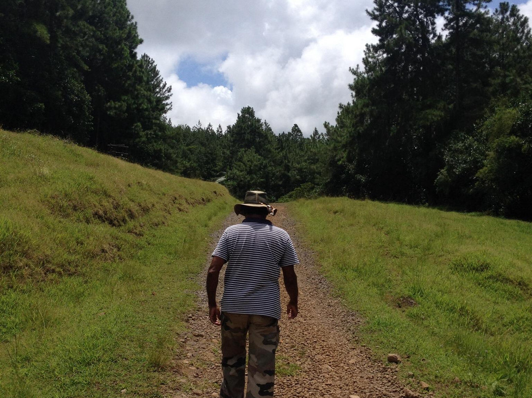 Domaine des 7 Vallées-Vacoas必去景点