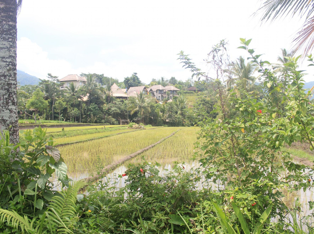 Bali Trip Buddy - Transporter in Paradise-库塔必去景点