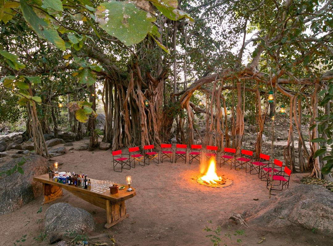 Jamtara Wilderness Camp - Pench National Park