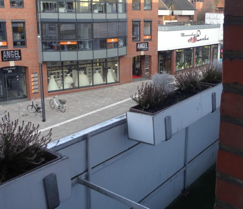 Schafers Hotel主图