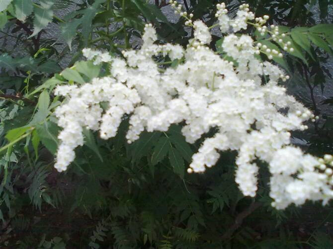 古塔公园-锦州市必去景点