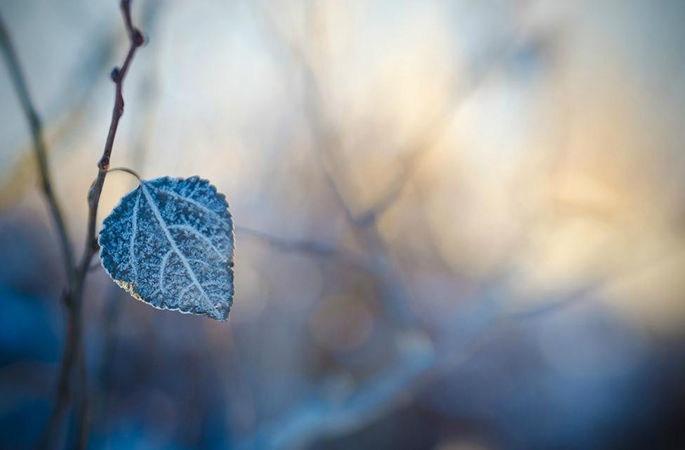 Greenland Garden Centre-舍伍德公园必去景点