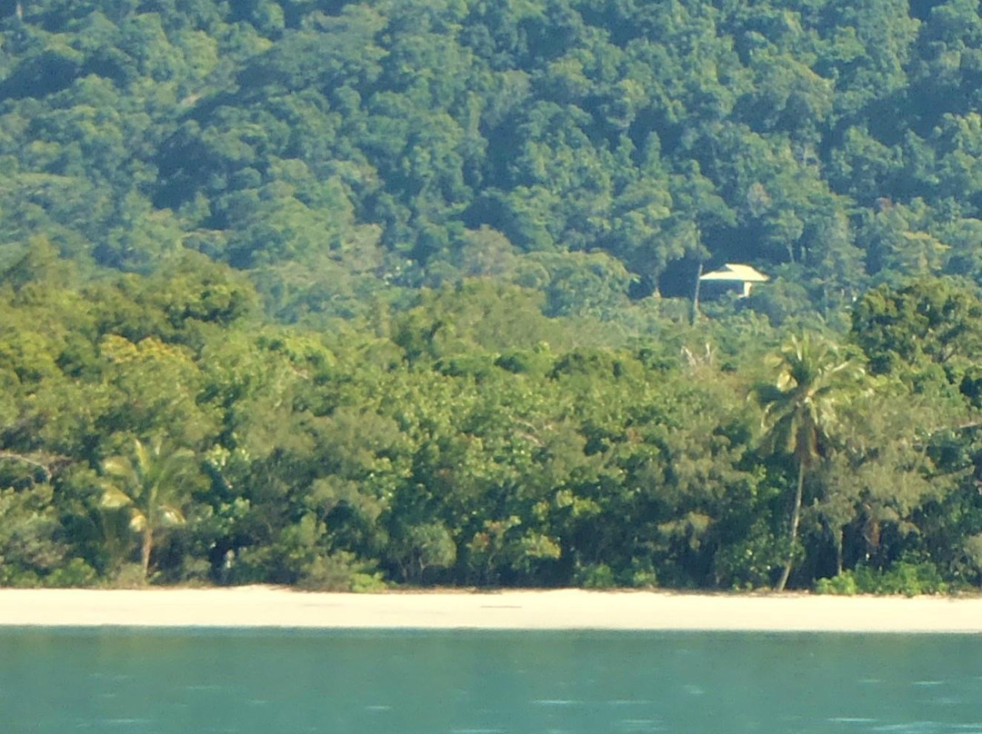 Cape Tribulation Sanctuary主图