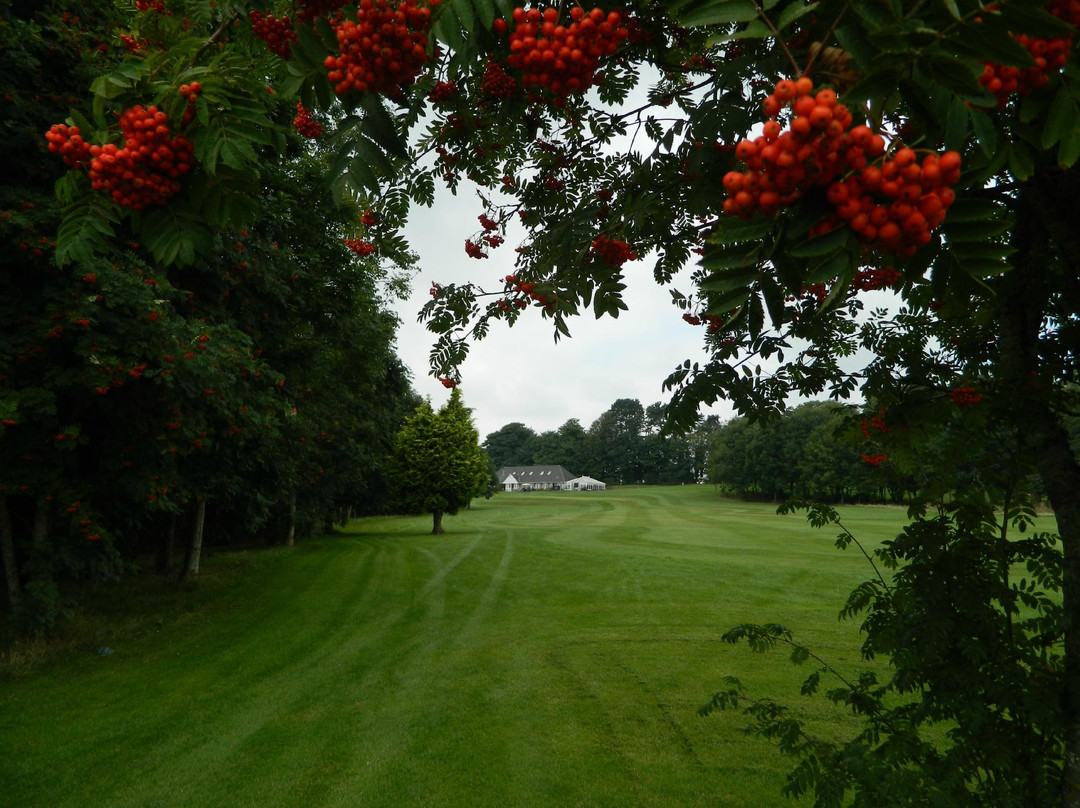 Coed-Y-Mwstwr Golf Club景点图片