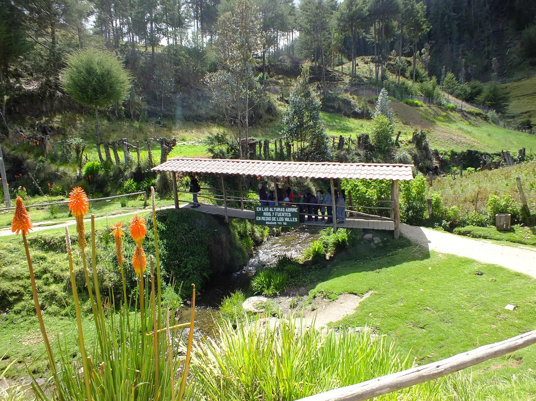 Granja Porcon