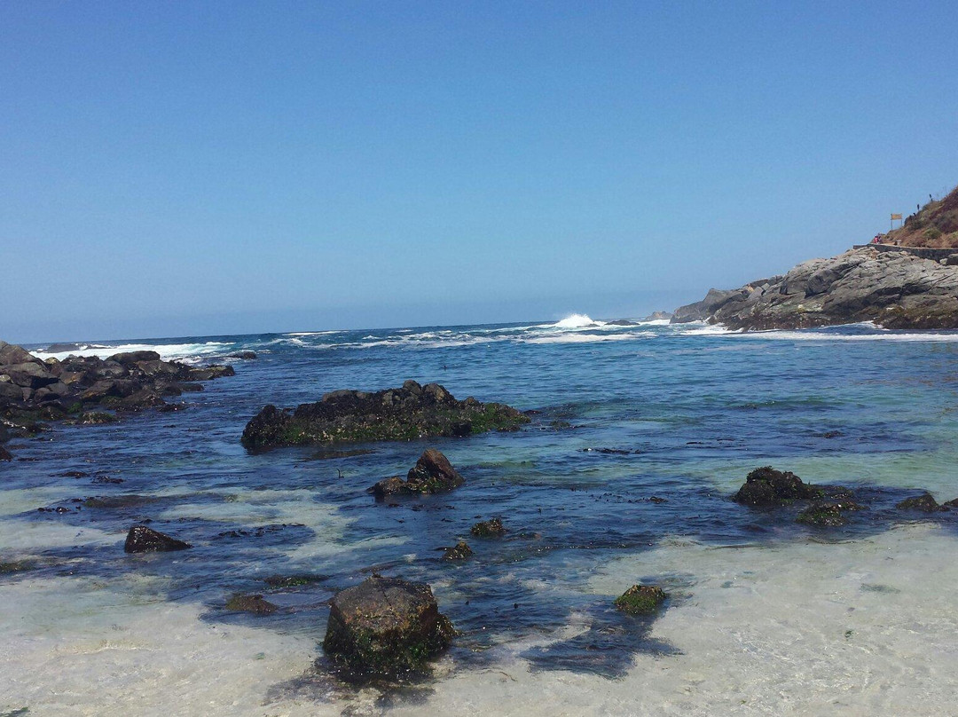 Playa Cachagua-Cachagua必去景点