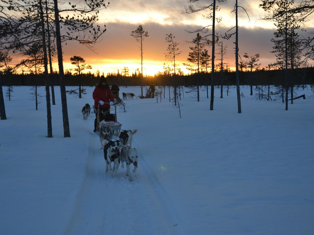 Burning Snow
