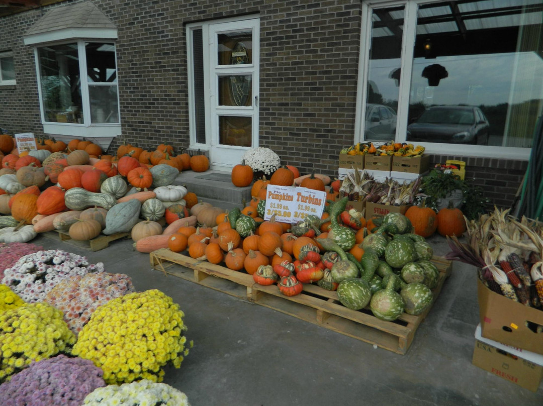 Fortuna餐馆和美食-Dutch Bakery & Bulk Food Store