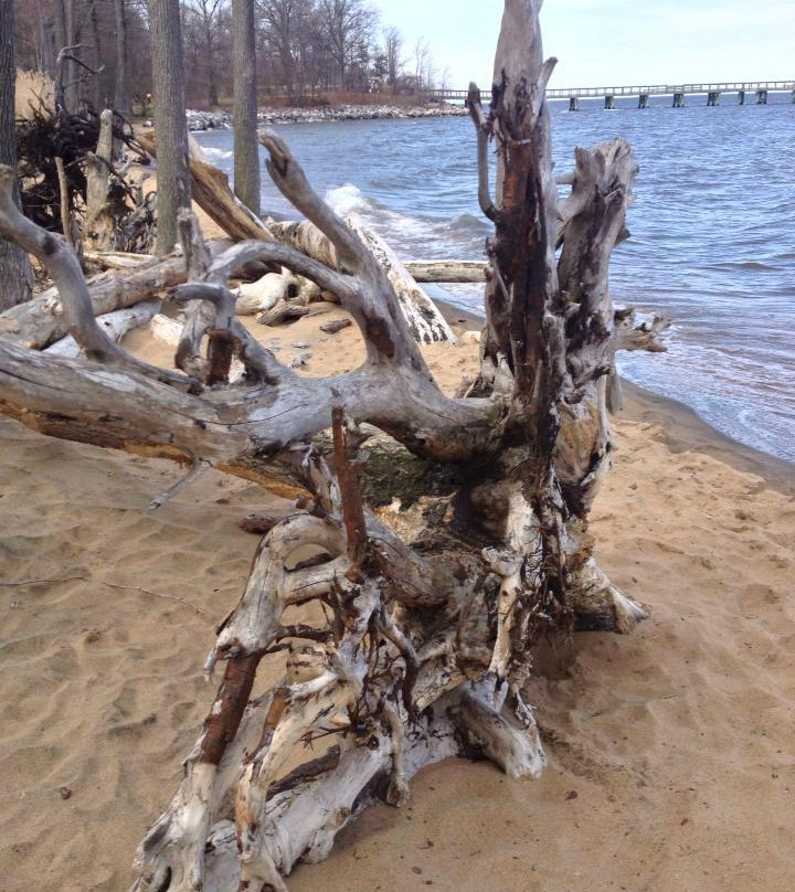 Downs Park-Pasadena必去景点