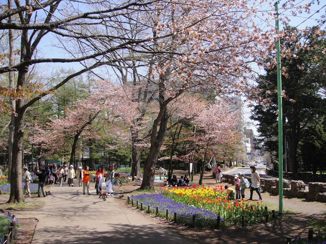 圆山公园-札幌市必去景点