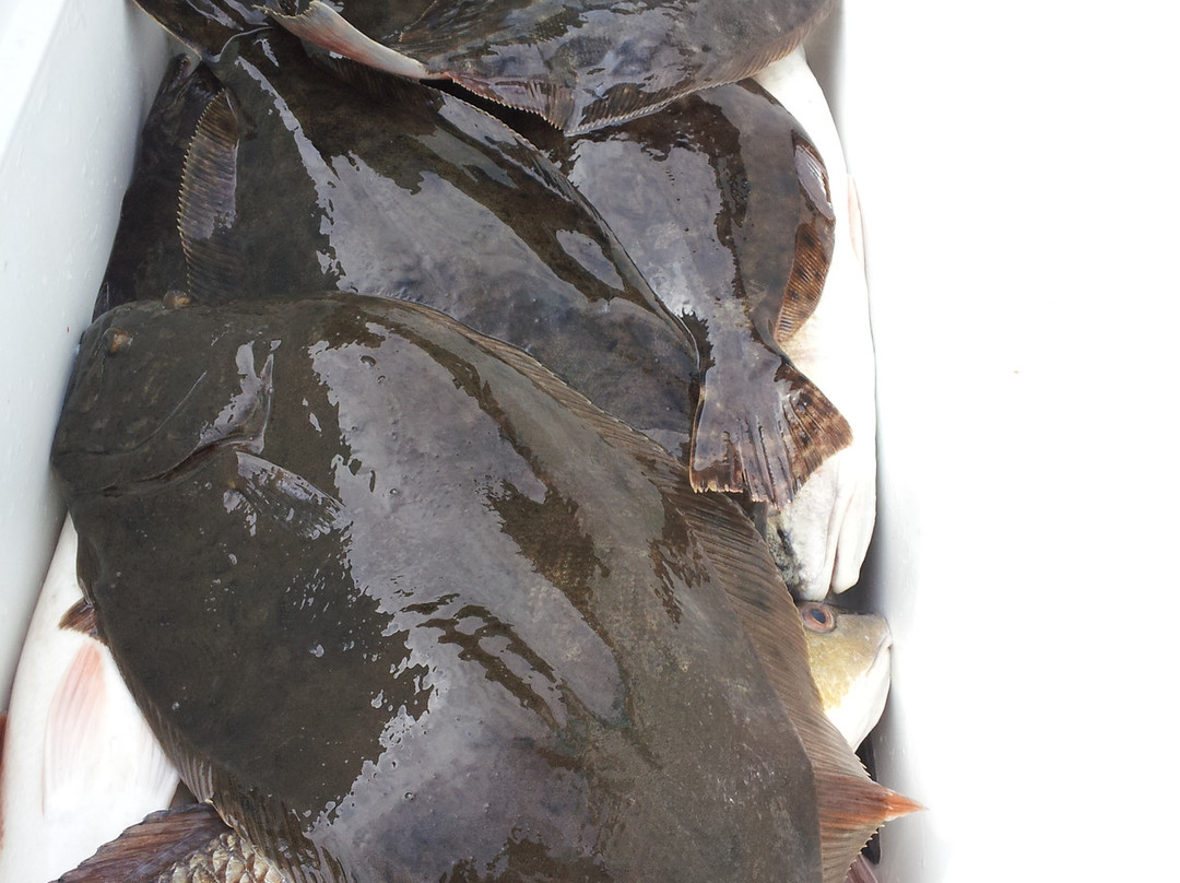 South Louisiana Redfishing景点图片