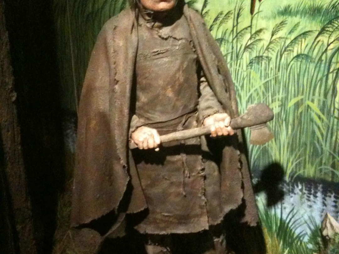 Lynn Museum-金斯林必去景点