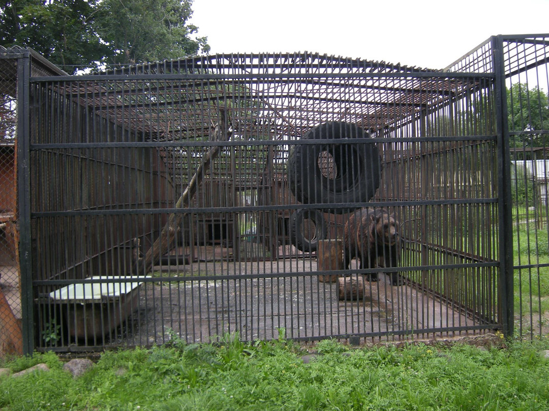 Minsk Zoo-明斯克必去景点