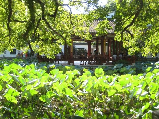 福州西湖公园景点图片