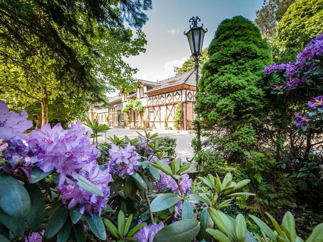 Plawno旅游攻略图片