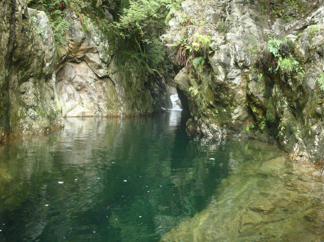 Lynn Canyon Suspension Bridge-北温哥华必去景点