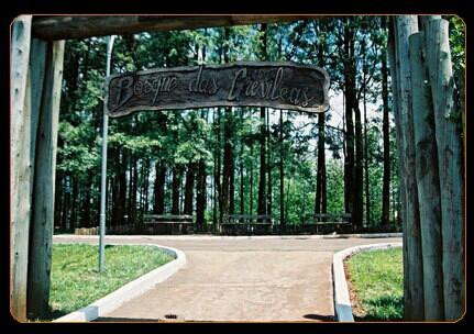 Bosque das Grevileas-Maringa必去景点