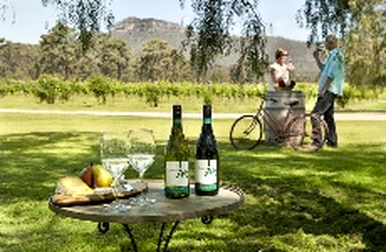 Stomp Wine-Broke必去景点