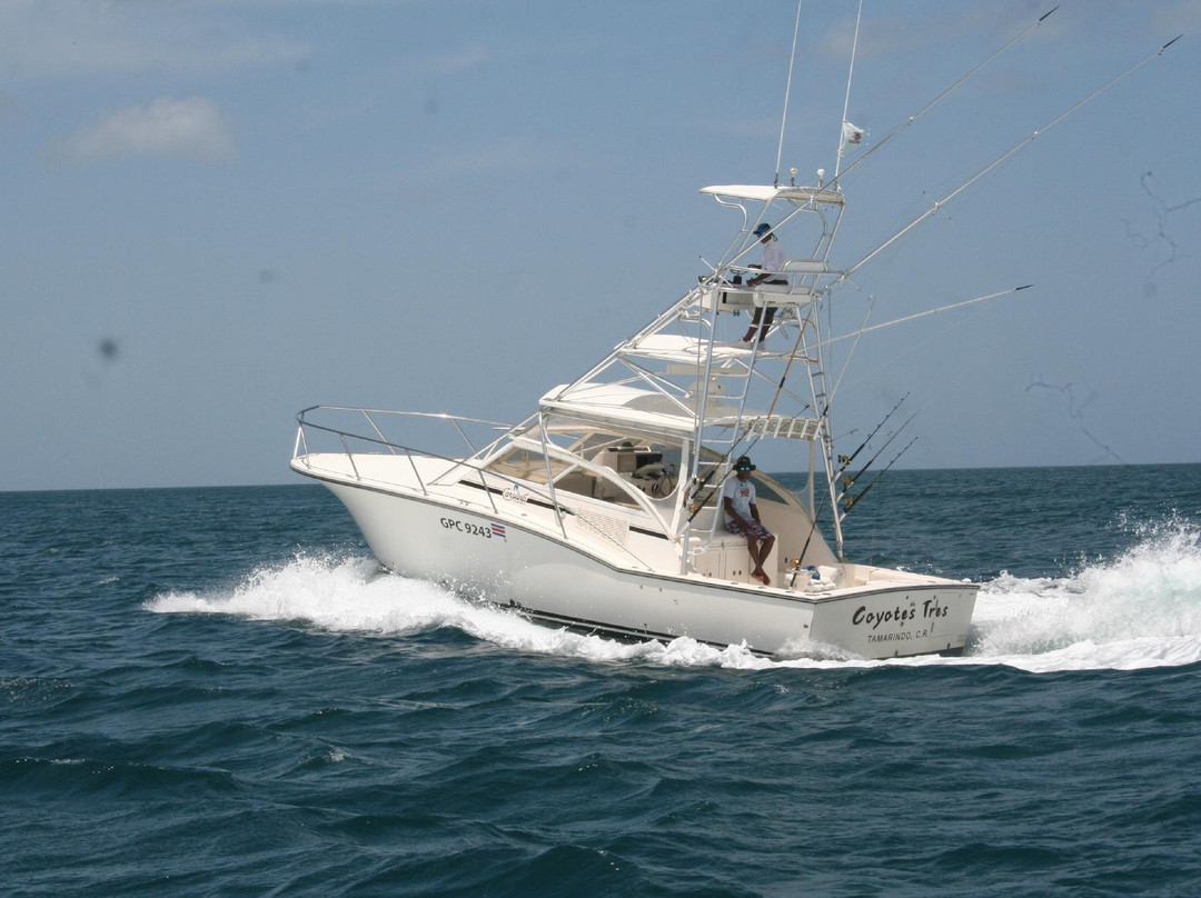 Coyote Sport Fishing-塔马林多必去景点