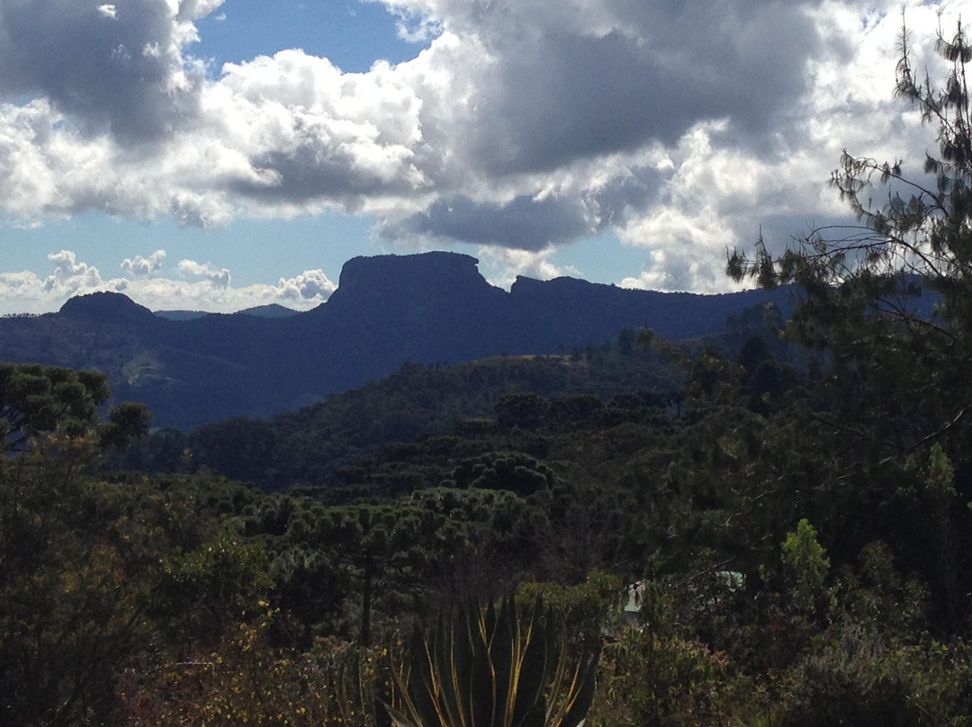 Auditório Claudio Santoro-坎普斯－杜若尔当必去景点