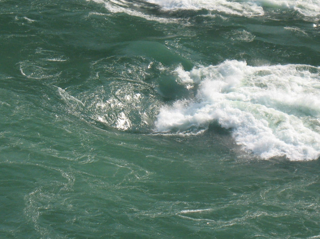 Whirlpool State Park-尼亚加拉大瀑布必去景点