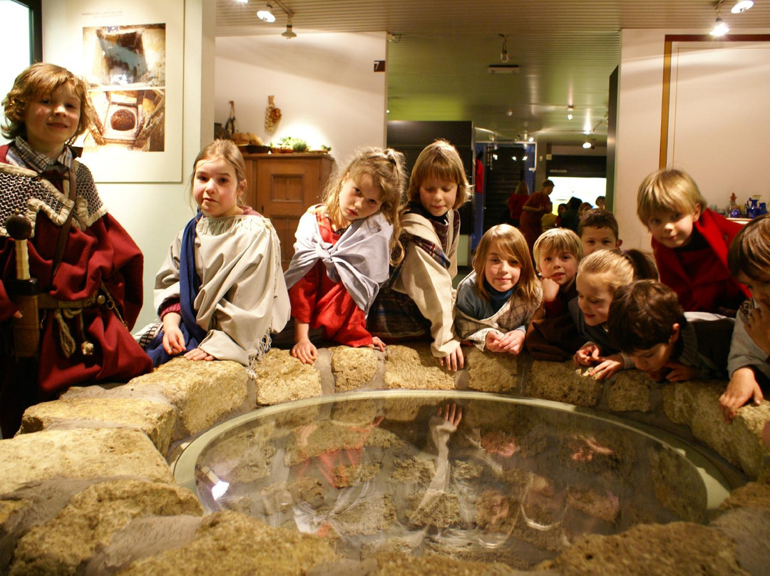 Provinciaal Archeologisch Museum-Zottegem必去景点