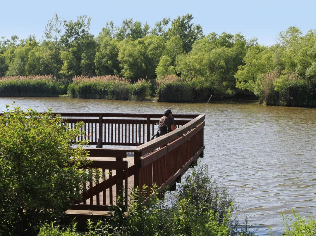 Port of Conneaut Bird Observation Platform Area景点图片