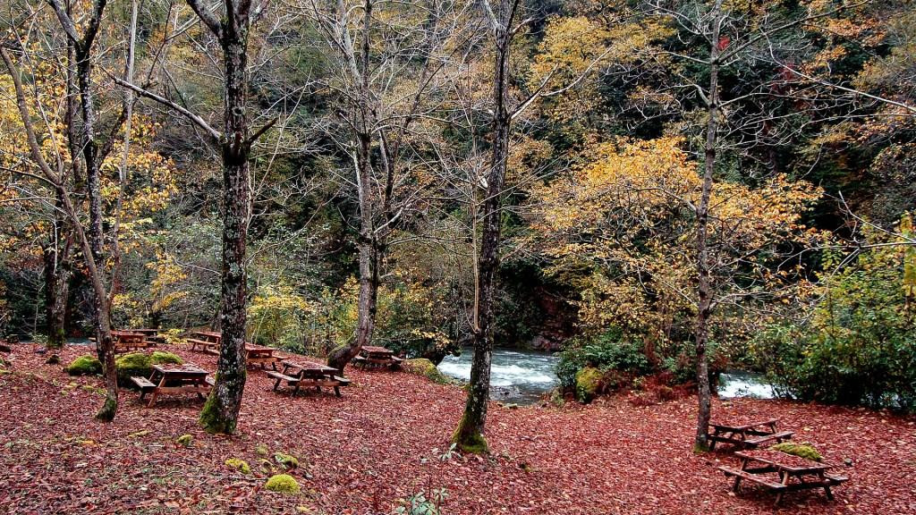 Mtirala National Park-Chakvistavi必去景点