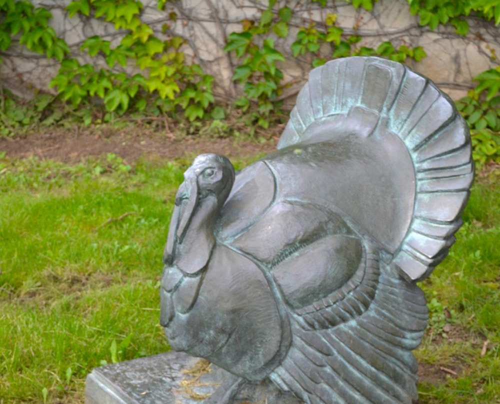 Art Gallery of Guelph-贵湖必去景点