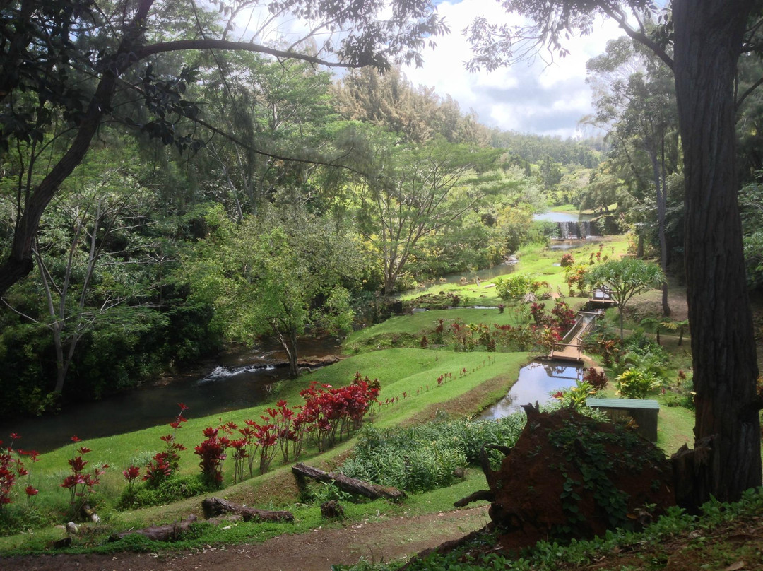 Wai Koa Loop-基拉韦厄必去景点