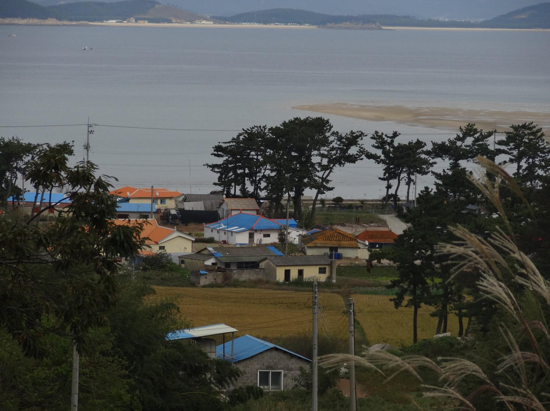 Sapsido Island-保宁市必去景点