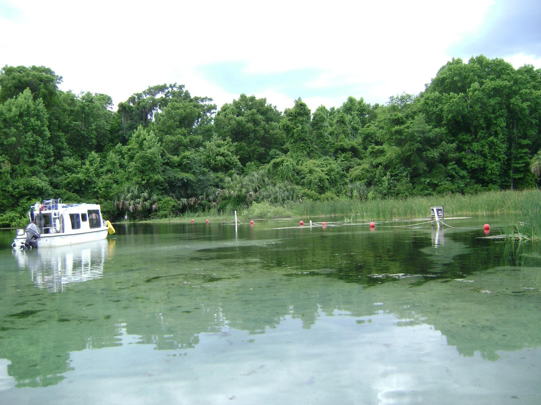 Lake Kerr-Salt Springs必去景点