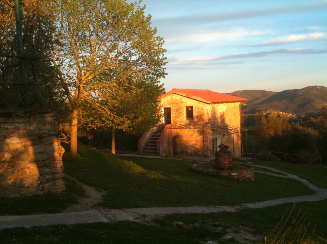Azienda Agraria Ippogrifo