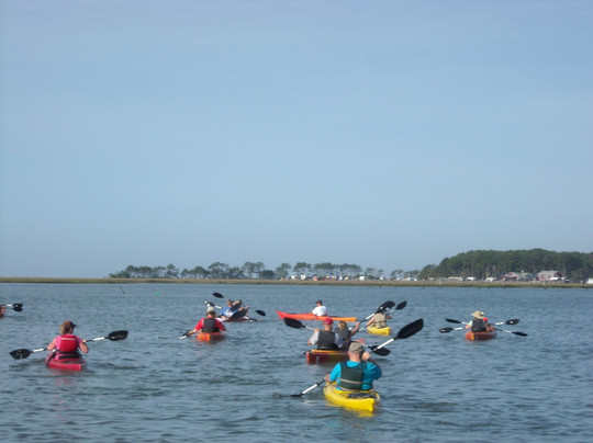 Old Town Canoe and Kayak Assateague Island Tours-钦科蒂格岛必去景点