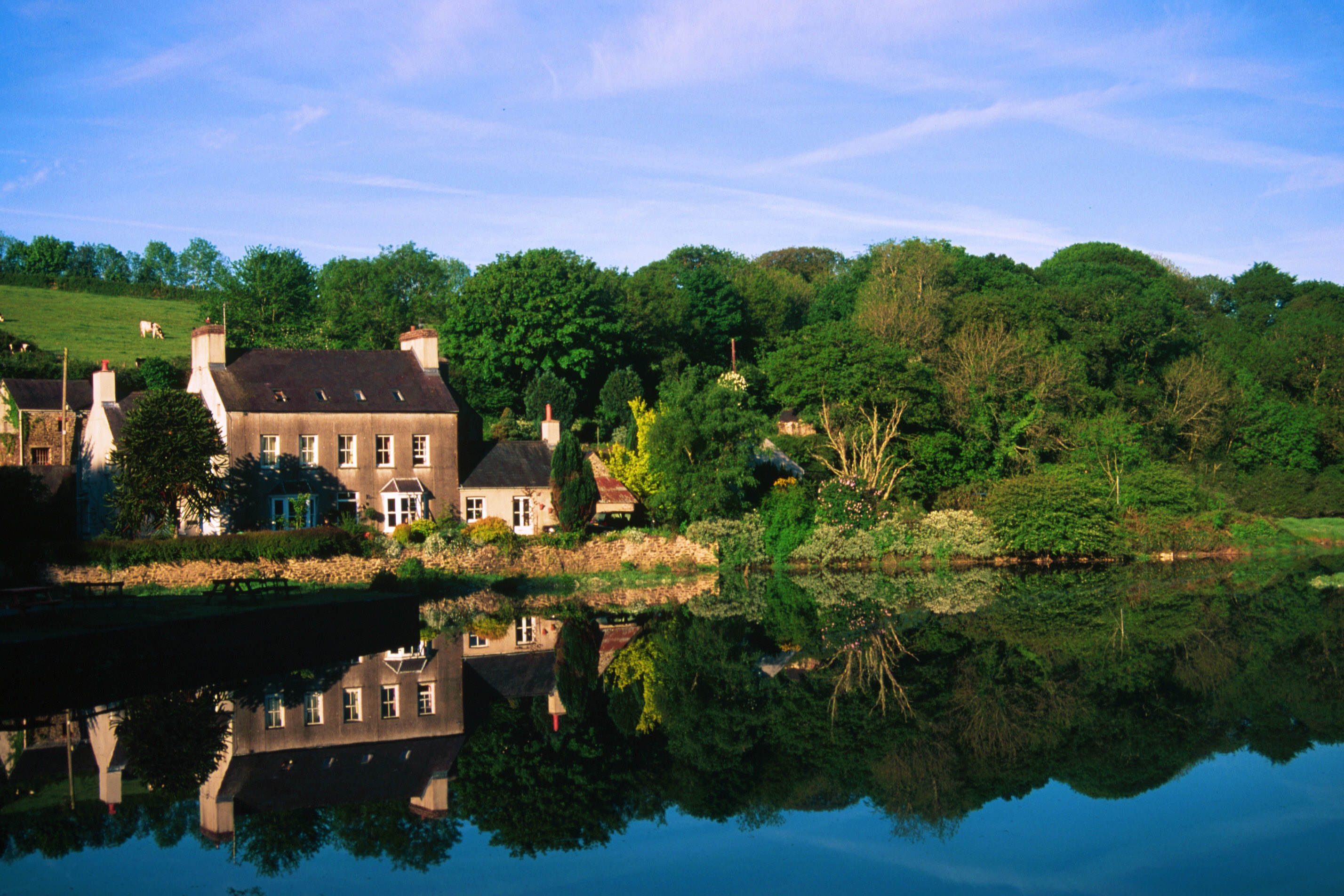 Cresswell House Bed and Breakfast-客卧
