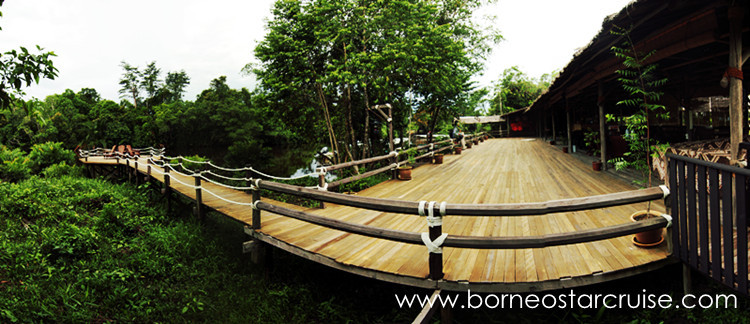 Monkey Tops Safari-Beaufort必去景点