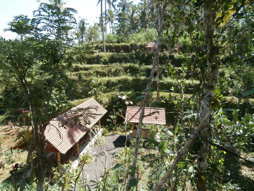 Satria Agrowisata-坦帕克西林必去景点