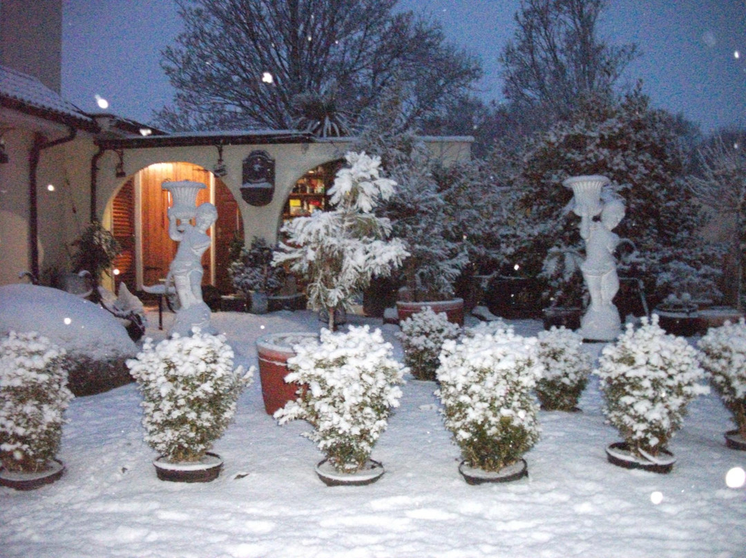 Bruff酒店住宿-Caherass House B&B