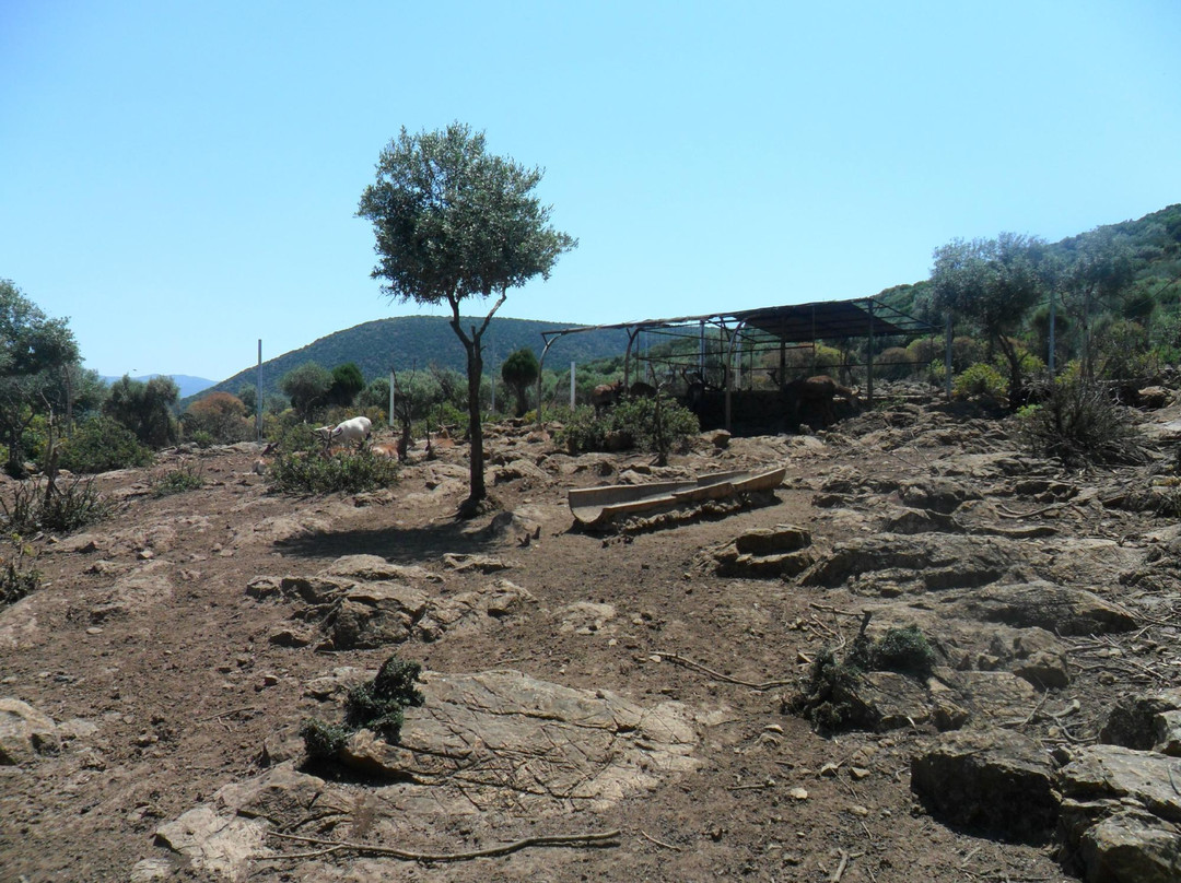 Parco Degli Angeli-Giba必去景点