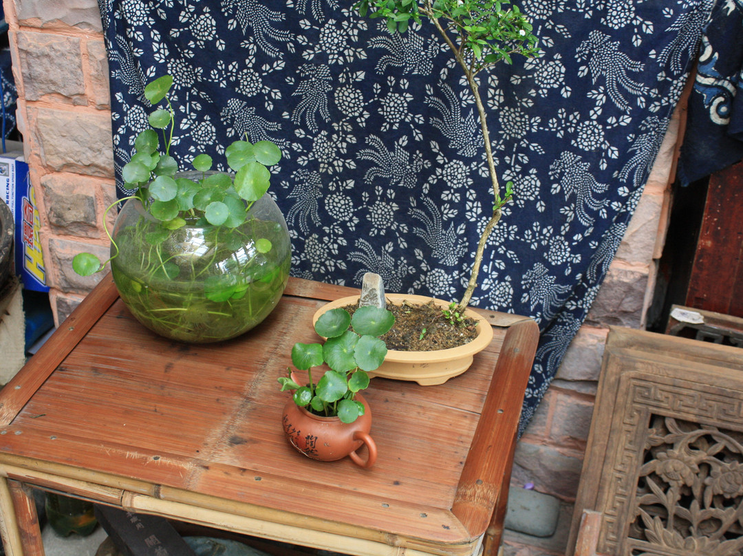 黄山宏村清和月国际青年旅舍主图