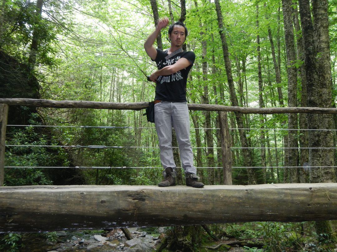 Alum Cave Trail-大雾山国家公园必去景点