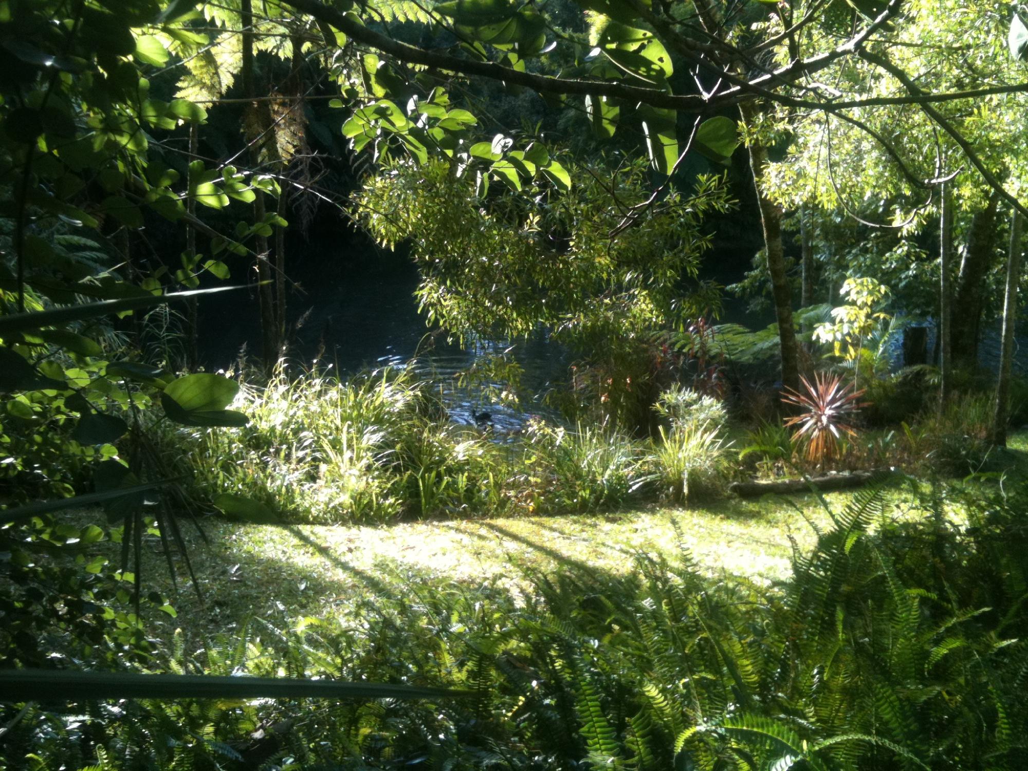 The Pond Cottage B&B-客卧