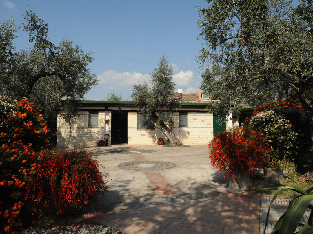 Montecorvino Rovella酒店住宿-B&B Il Cetrangolo