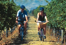 On Yer Bike Winery Tours景点图片