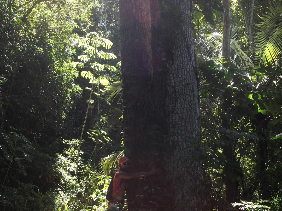 Serra de Sapeatiba-Sao Pedro da Aldeia必去景点