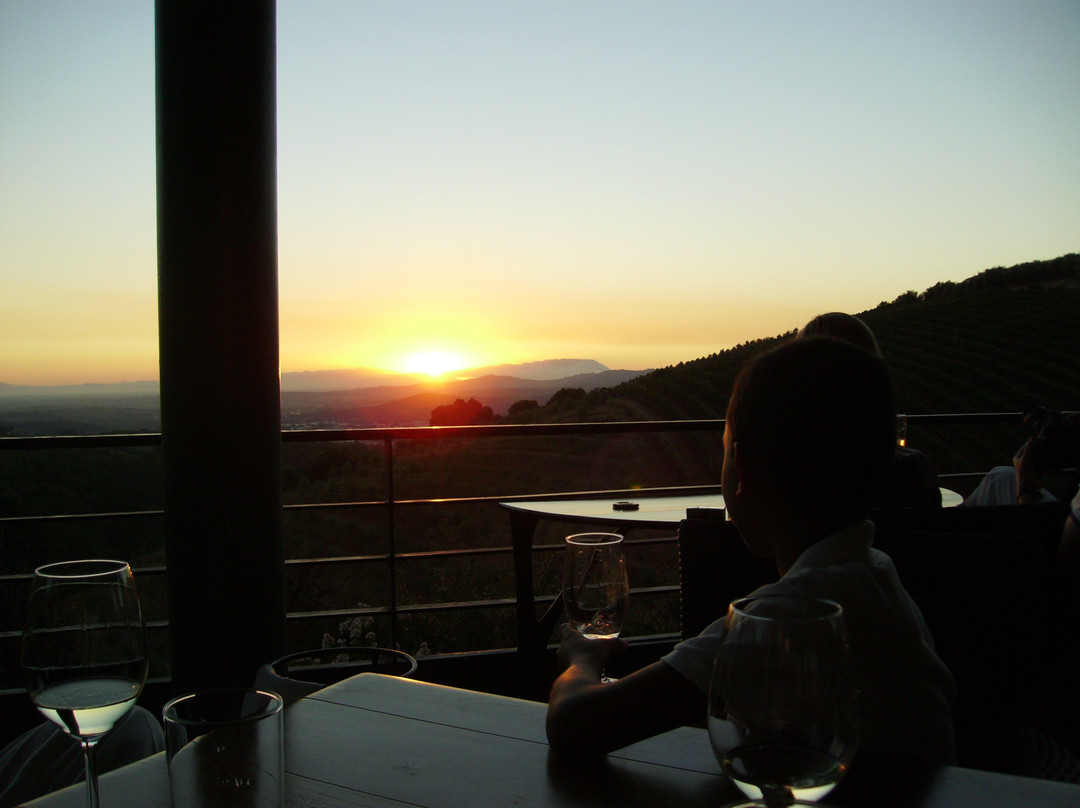 Tokara Wine Estate-斯泰伦博斯必去景点