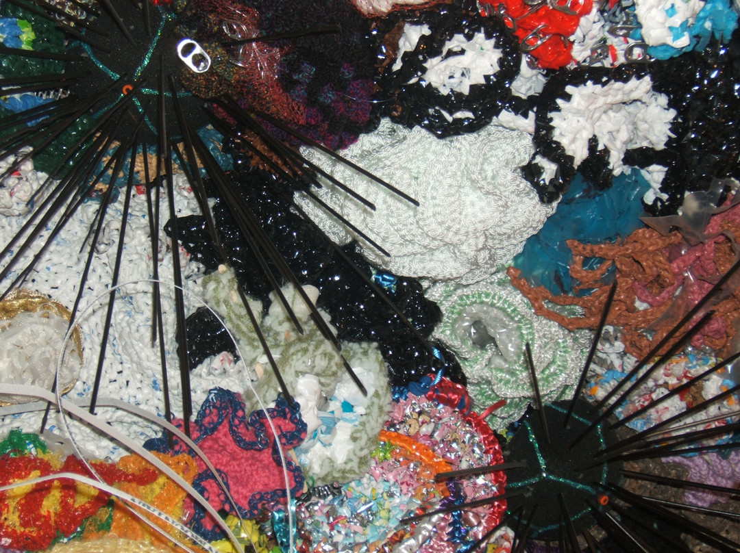 史密森尼国家自然历史博物馆-华盛顿特区必去景点